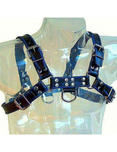 LEDER KÖRPER BRUST BULLDOG HARNESS SCHWARZ / BLAU LEDER