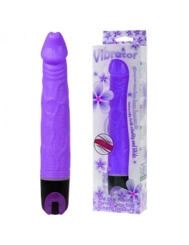 BAILE VIBRATOR MULTI-SPEED 21.5 CM PURPLE