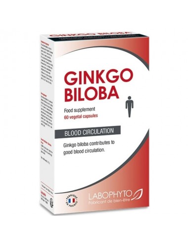 GINKGO BILOBA NAHRUNGSERGÄNZUNGSMITTEL BLUTZIRKULATION 60 KAP