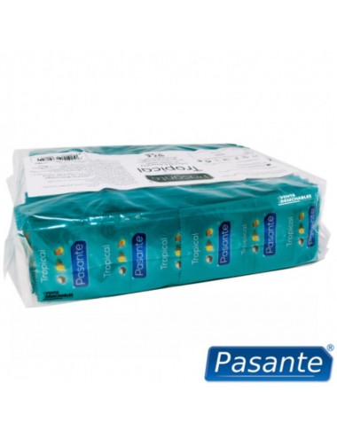 PASANTE KONDOME TROPICAL BAG 144 EINHEITEN