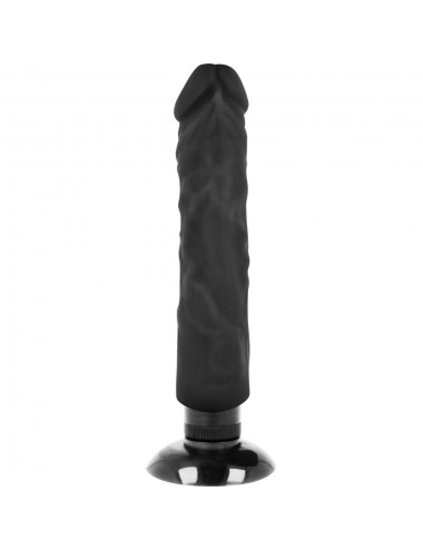 BASECOCK REALISTIC VIBRATOR 2-1 SCHWARZ 20CM