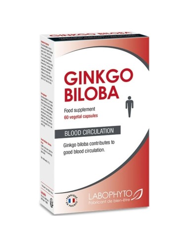 GINKGO BILOBA NAHRUNGSERGÄNZUNGSMITTEL BLUTZIRKULATION 60 KAP