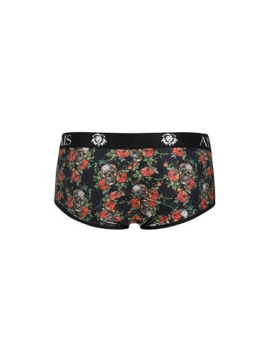 ANAIS MEN - POWER BRIEF L