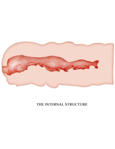 CRAZY BULL - ISABEL VAGINA-MASTURBATOR 13.5 CM