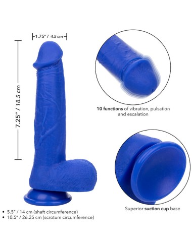 CALEXOTICS - ADMIRAL KAPITN REALISTISCHER DILDO-VIBRATOR BLAU