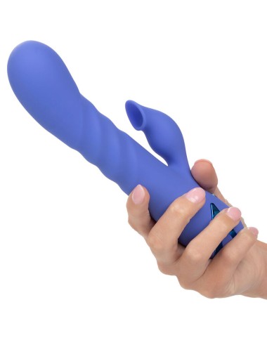 CALEXOTICS - LA LOVE VIBRATOR & SUCKER BLAU VON CALIFORNIA DREAMING