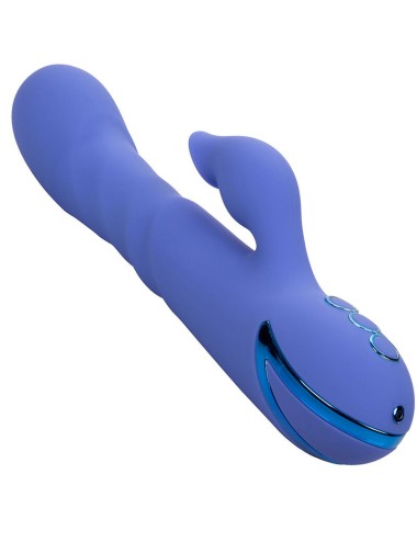 CALEXOTICS - LA LOVE VIBRATOR & SUCKER BLAU VON CALIFORNIA DREAMING