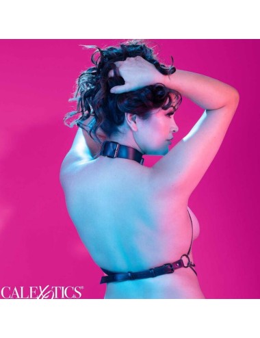 CALEXOTICS - EUPHORIA PLUS GRÖSSE MEHRKETTENHALSBANDGESCHIRR