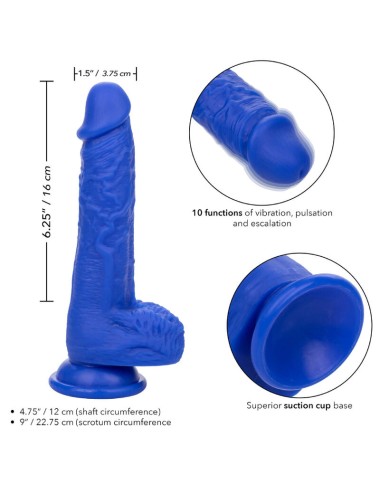 CALEXOTICS - ADMIRAL SAILOR REALISTISCHER DILDO-VIBRATOR BLAU
