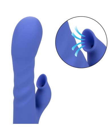 CALEXOTICS - LA LOVE VIBRATOR & SUCKER BLAU VON CALIFORNIA DREAMING