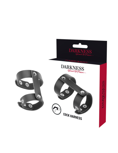 DARKNESS - VERSTELLBARER PENIS- UND HODENRING AUS LEDER