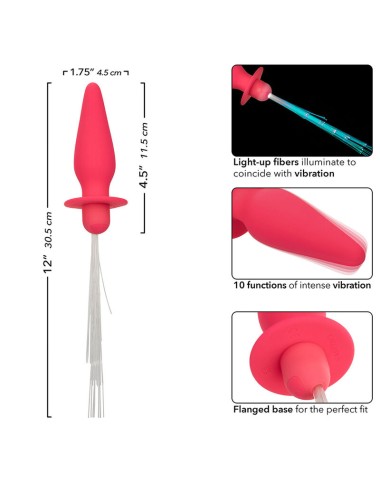 CALEXOTICS - SOUTHERN LIGHTS LIGHT UP PLUG ANAL 10 VIBRATIONS SILICONE ROSE
