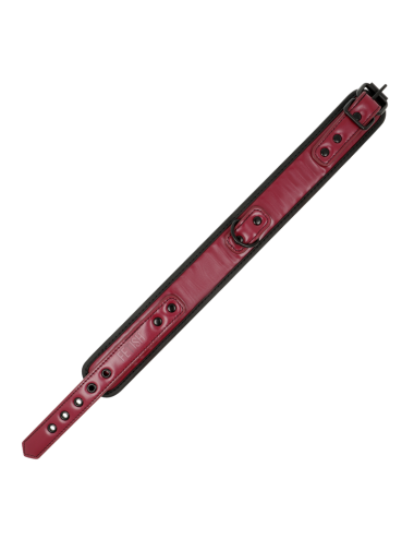 FETISH SUBMISSIVE DARK ROOM - COLLIER CHAÎNE DOUBLURE EN NÉOPRÈNE