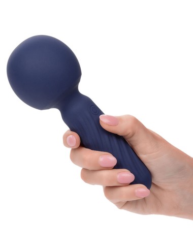 CALEXOTICS - CHARISMA SEDUCTION MASSEUR 12 FONCTIONS 17,75 CM X 6,25 CM VIOLET