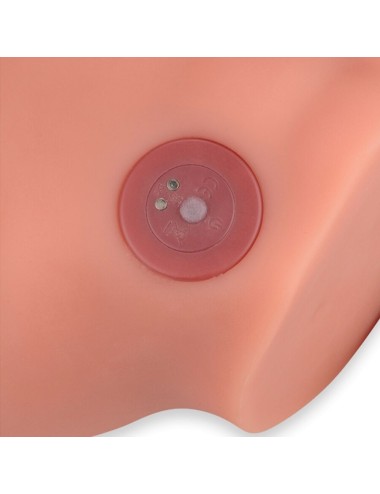 XISE - FREDERICO MASTURBADOR REALISTISCHER DILDO FRONTPOSITION MIT STOSS 15 CM