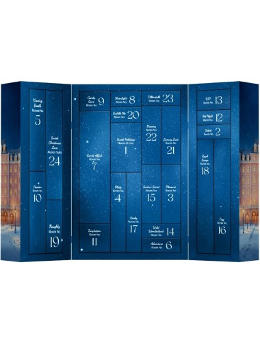 SATISFYER - PREMIUM ADVENTSKALENDER 2025