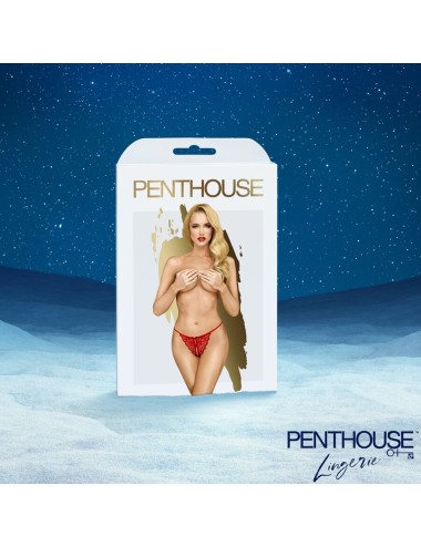 SATISFYER - PREMIUM ADVENTSKALENDER 2025