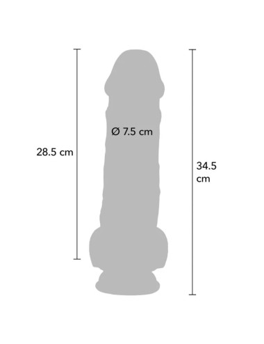 5 CM