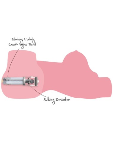 VERBORGENE BEGIERDE - MELKENDE MEGA-SCHLAMPE-TORSO WEIBLICHER MASTURBATOR 22 KG