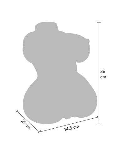 VERBORGENE BEDÜRFNISSE – SAFTIGER DOPPEL-D-MASTURBADOR FÜR VAGINA UND ANUS 5 KG