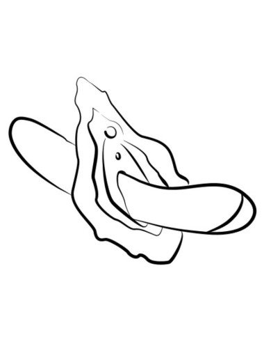 ROMP - HYPE Multifunktions-G-Punkt-Vibrator Rot
