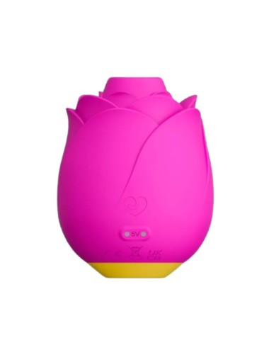 ROMP - ROSE 2.0 ROSA-FÖRMIGES KLITORIS-SAUGWERKZEUG